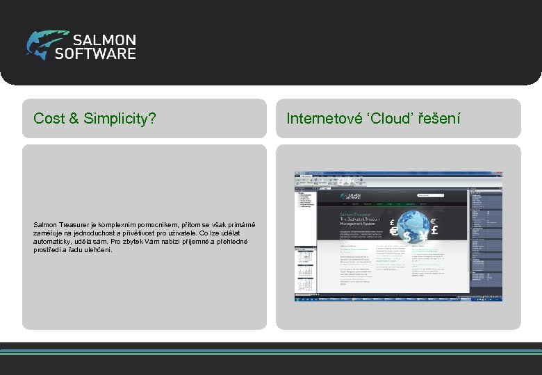 Cost & Simplicity? Salmon Treasurer je komplexním pomocníkem, přitom se však primárně zaměřuje na
