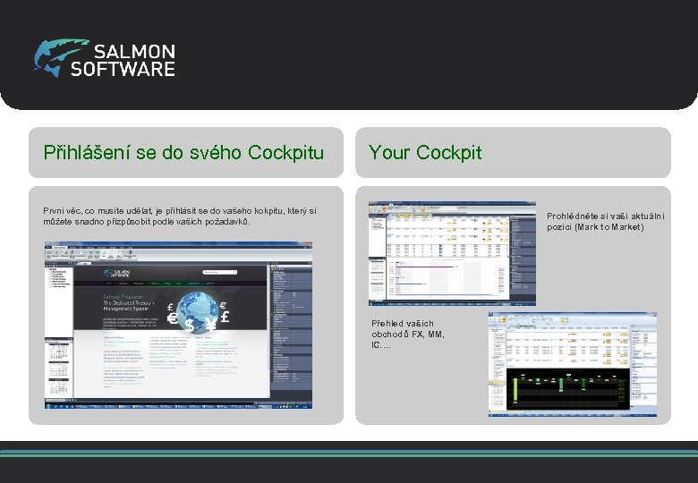 Přihlášení se do svého Cockpitu Your Cockpit První věc, co musíte udělat, je přihlásit