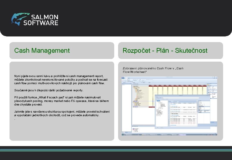 Cash Management Rozpočet - Plán - Skutečnost Zobrazení plánovaného Cash Flow v „Cash Flow