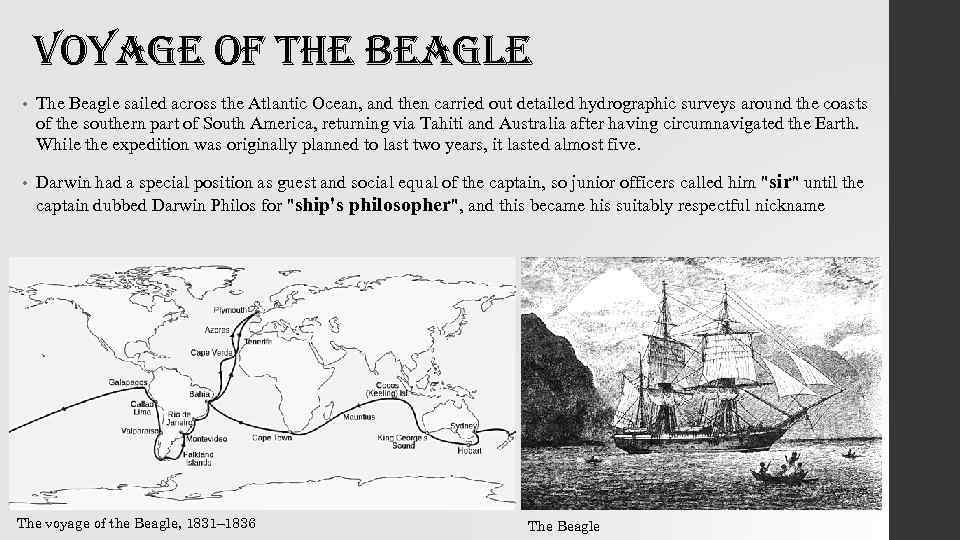 voyage of the beagle • The Beagle sailed across the Atlantic Ocean, and then