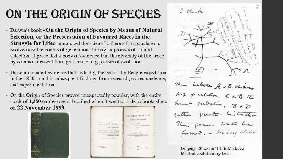 on the origin of species • Darwin's book «On the Origin of Species by