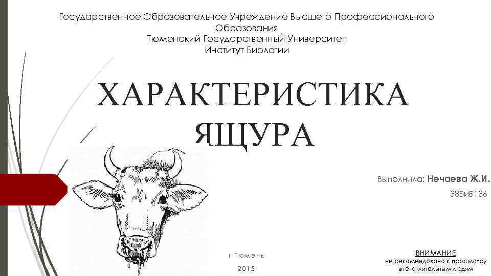 Государственное Образовательное Учреждение Высшего Профессионального Образования Тюменский Государственный Университет Институт Биологии ХАРАКТЕРИСТИКА ЯЩУРА Выполнила: