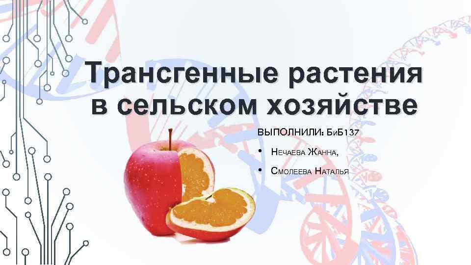 Трансгенные растения в сельском хозяйстве ВЫПОЛНИЛИ: БИБ 137 • НЕЧАЕВА ЖАННА, • СМОЛЕЕВА НАТАЛЬЯ