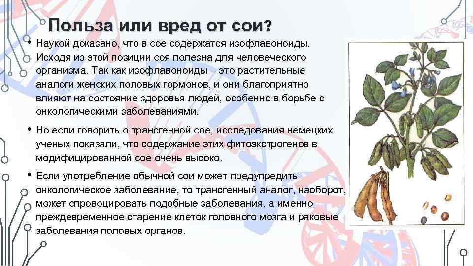 Польза или вред от сои? • Наукой доказано, что в сое содержатся изофлавоноиды. Исходя