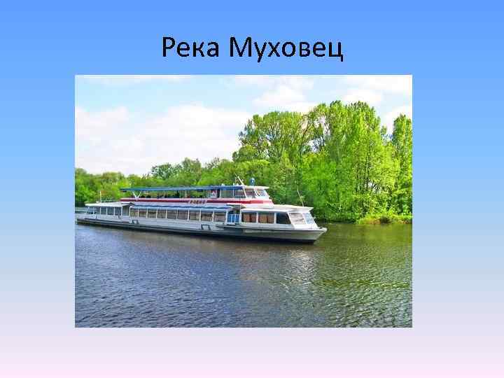 Река Муховец 