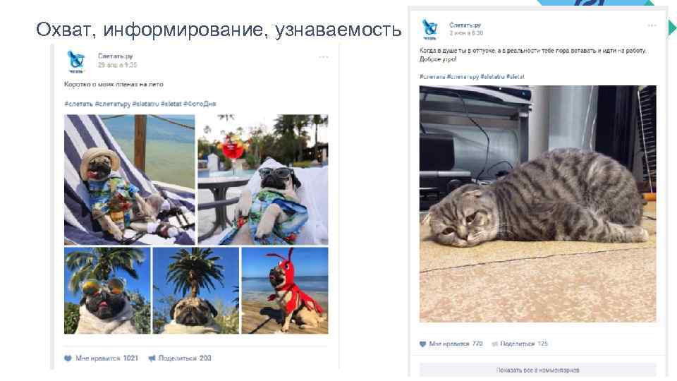 Охват, информирование, узнаваемость 