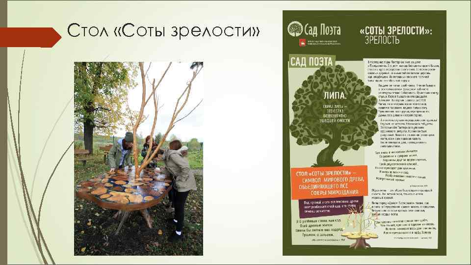 Стол «Соты зрелости» 