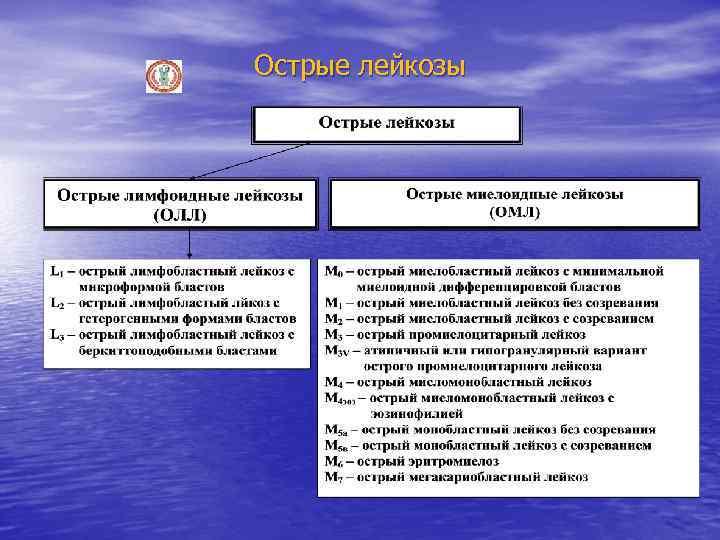 Острые лейкозы 