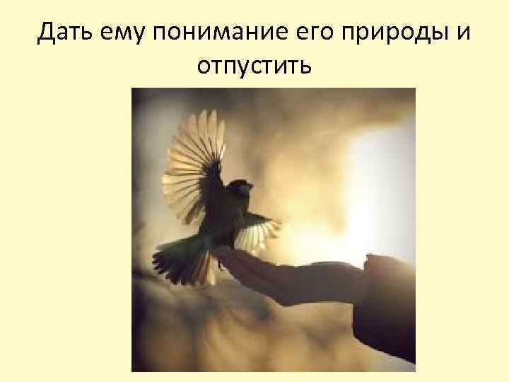 Дать ему понимание его природы и отпустить 
