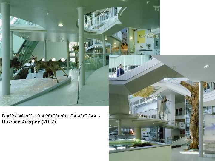 Музей искусства и естественной истории в Нижней Австрии (2002). 