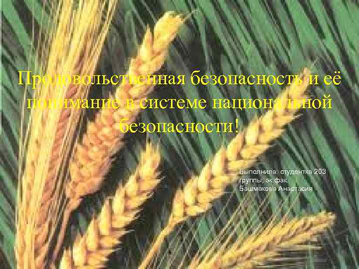 Продовольственная безопасность и её понимание в системе национальной безопасности! Выполнила: студентка 203 группы, эк.