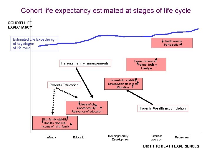 Cohort life expectancy estimated at stages of life cycle COHORT LIFE EXPECTANCY Estimated Life