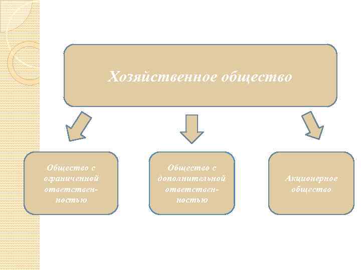 Хозяйственное общество Общество с ограниченной ответственностью Общество с дополнительной ответственностью Акционерное общество 