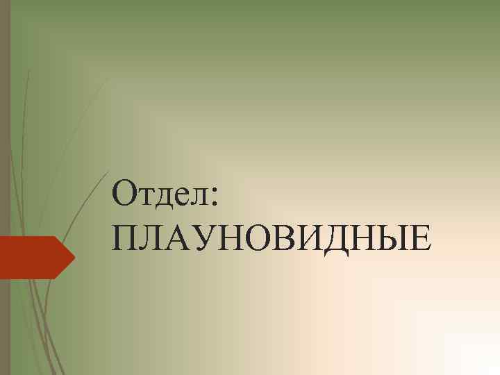 Отдел: ПЛАУНОВИДНЫЕ 