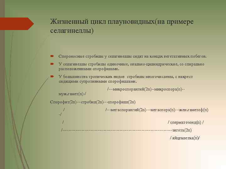 Жизненный цикл плауновидных(на примере селагинеллы) Спороносные стробилы у селагинеллы сидят на концах вегетативных побегов.