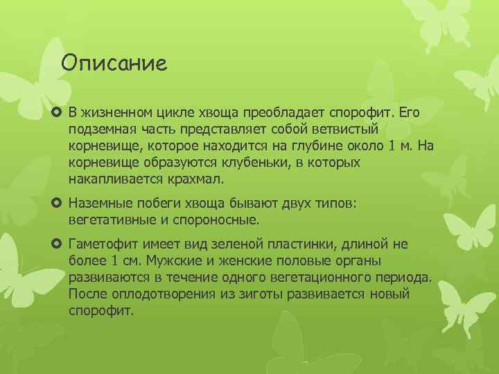 Описание В жизненном цикле хвоща преобладает спорофит. Его подземная часть представляет собой ветвистый корневище,