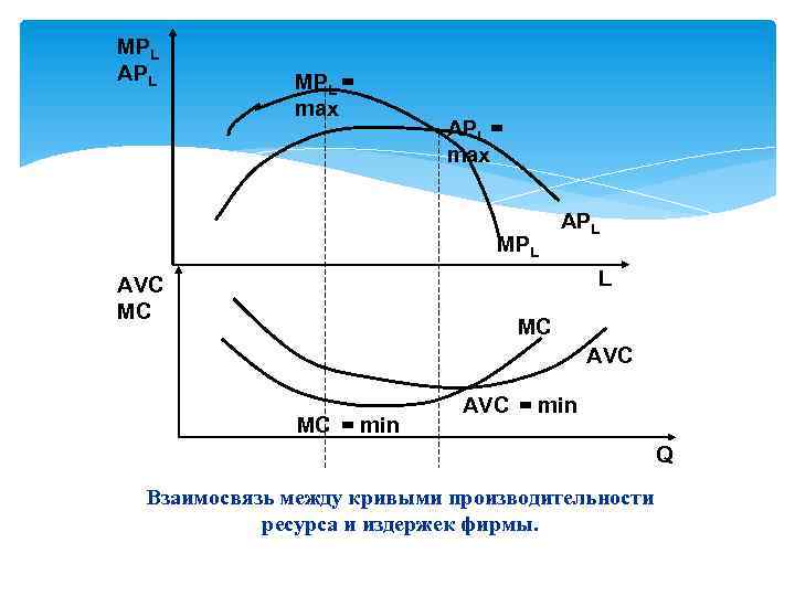 MРL АРL MРL = max АРL = max MРL АРL L AVC MC MC