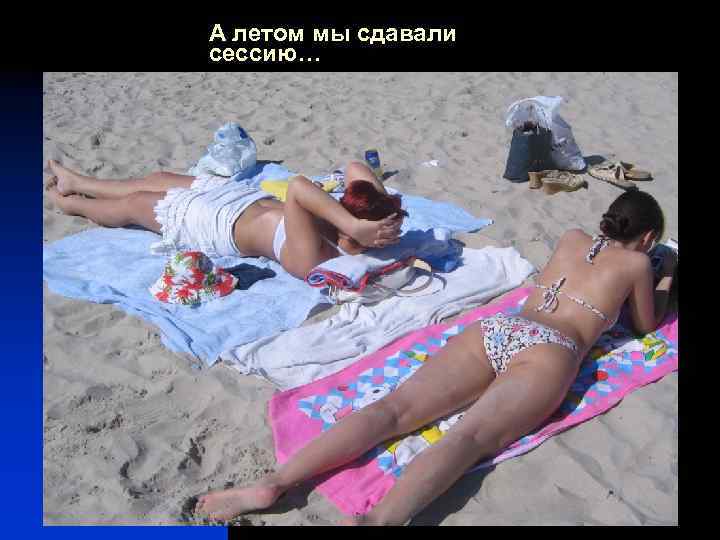 А летом мы сдавали сессию… 