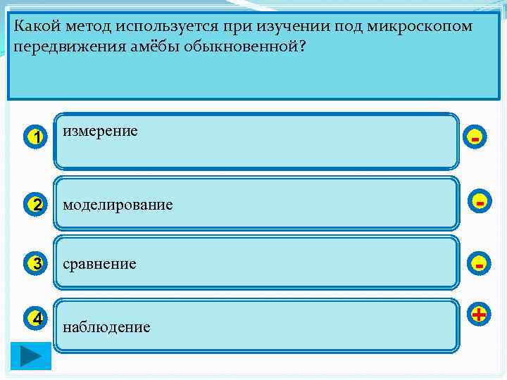 Какой метод используется при изучении под микроскопом передвижения амёбы обыкновенной? 1 измерение - 2