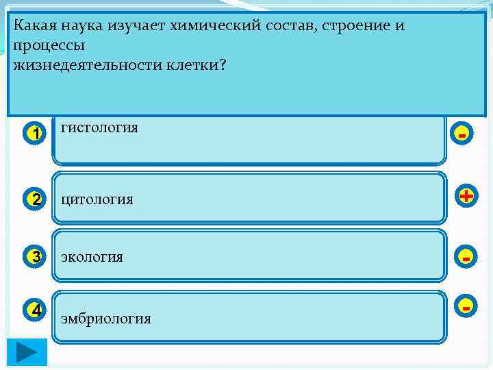 Строение и процессы жизнедеятельности