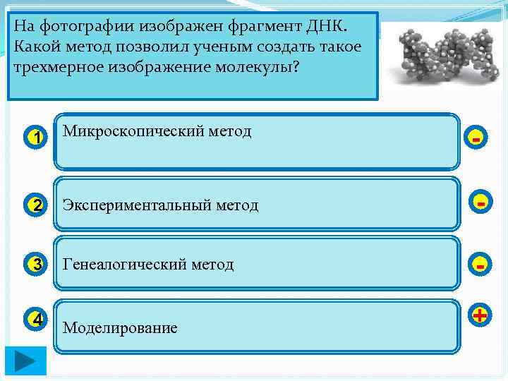 На фотографии изображен фрагмент ДНК. Какой метод позволил ученым создать такое трехмерное изображение молекулы?