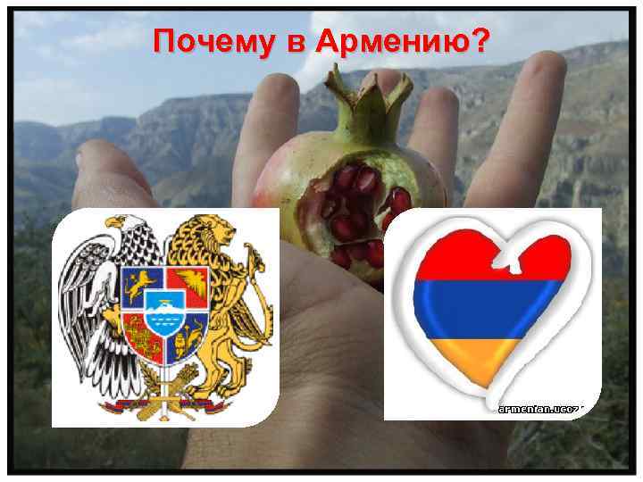 Почему в Армению? 