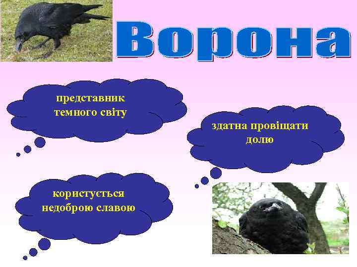 представник темного світу користується недоброю славою здатна провіщати долю 