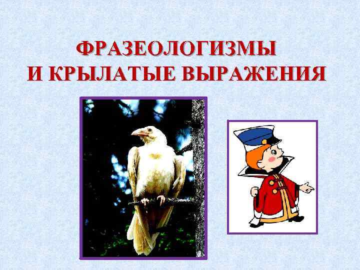 ФРАЗЕОЛОГИЗМЫ И КРЫЛАТЫЕ ВЫРАЖЕНИЯ 