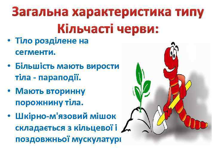 Загальна характеристика типу Кільчасті черви: • Тіло розділене на сегменти. • Більшість мають вирости