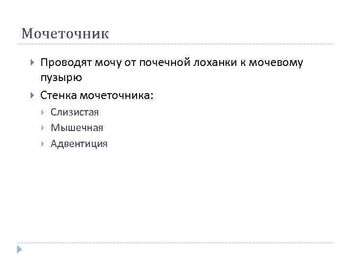 Мочеточник Проводят мочу от почечной лоханки к мочевому пузырю Стенка мочеточника: Слизистая Мышечная Адвентиция