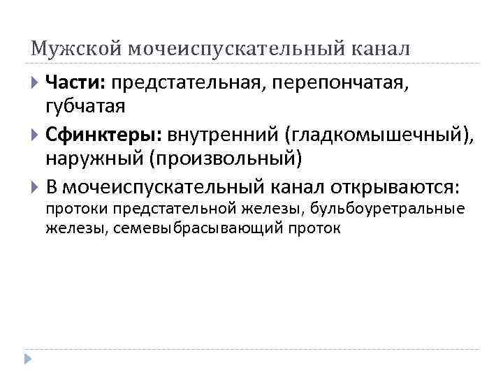Мужской мочеиспускательный канал Части: предстательная, перепончатая, губчатая Сфинктеры: внутренний (гладкомышечный), наружный (произвольный) В мочеиспускательный