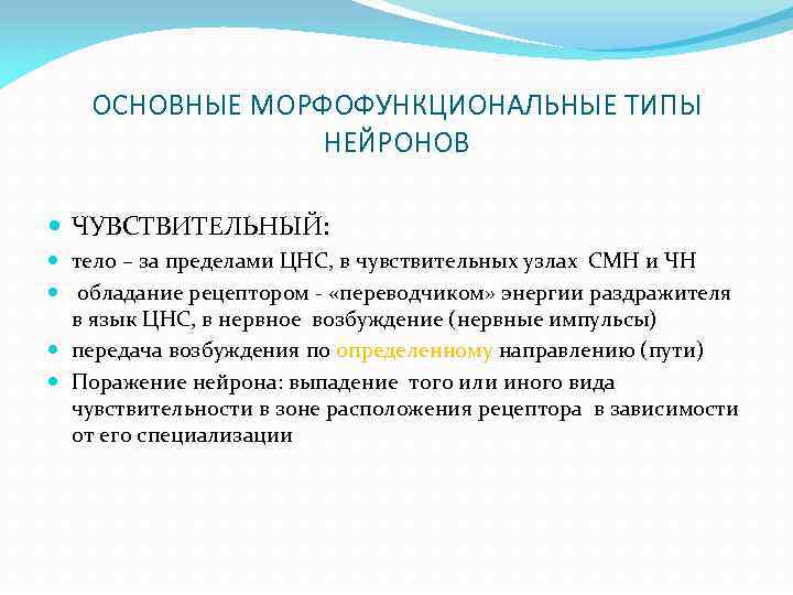 ОСНОВНЫЕ МОРФОФУНКЦИОНАЛЬНЫЕ ТИПЫ НЕЙРОНОВ ЧУВСТВИТЕЛЬНЫЙ: тело – за пределами ЦНС, в чувствительных узлах СМН