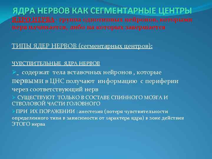 ЯДРА НЕРВОВ КАК СЕГМЕНТАРНЫЕ ЦЕНТРЫ ЯДРО НЕРВА– группа однотипных нейронов, которыми нерв начинается, либо