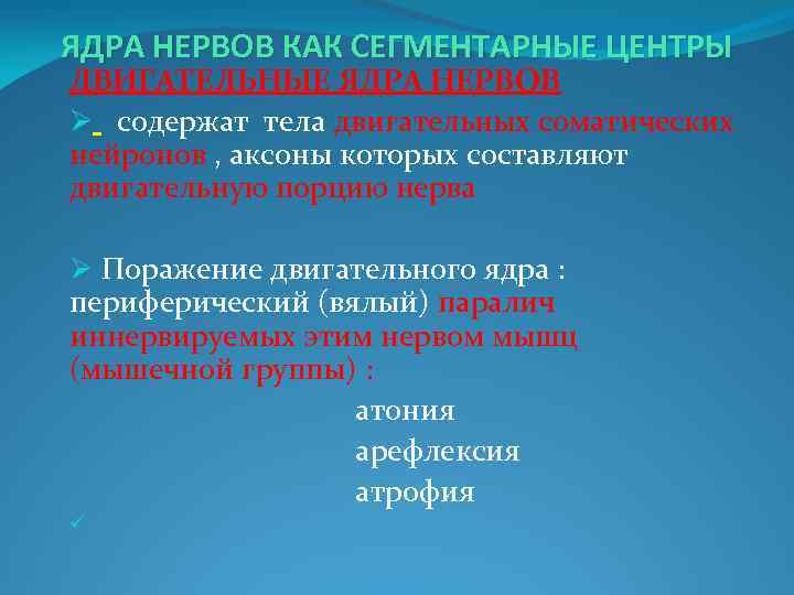 ЯДРА НЕРВОВ КАК СЕГМЕНТАРНЫЕ ЦЕНТРЫ ДВИГАТЕЛЬНЫЕ ЯДРА НЕРВОВ Ø содержат тела двигательных соматических нейронов
