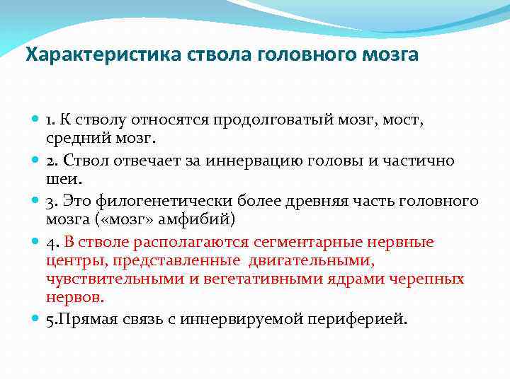 Характеристика ствола головного мозга 1. К стволу относятся продолговатый мозг, мост, средний мозг. 2.