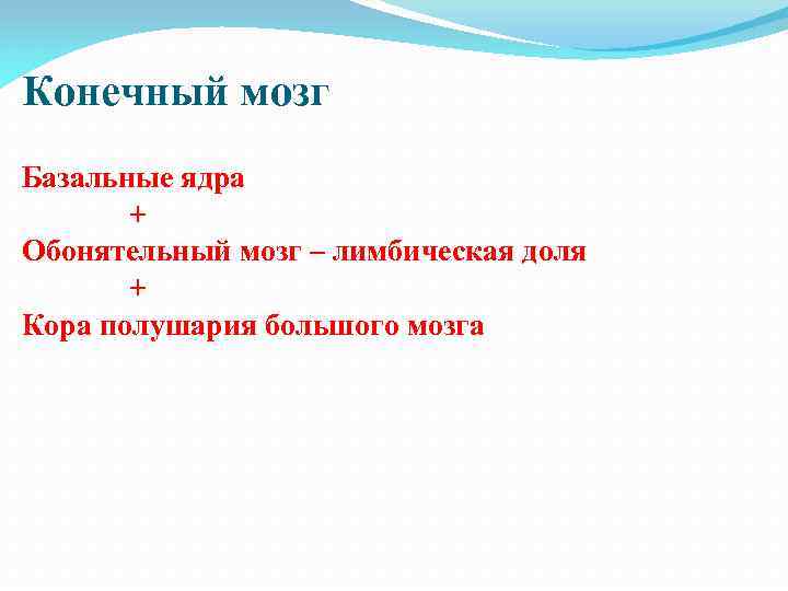 Конечный мозг Базальные ядра + Обонятельный мозг – лимбическая доля + Кора полушария большого