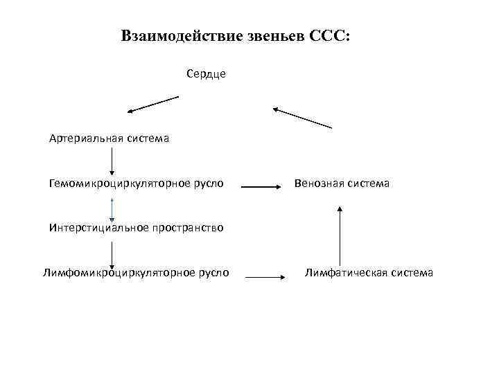 Взаимодействие звеньев ССС: Сердце Артериальная система Гемомикроциркуляторное русло Венозная система Интерстициальное пространство Лимфомикроциркуляторное русло