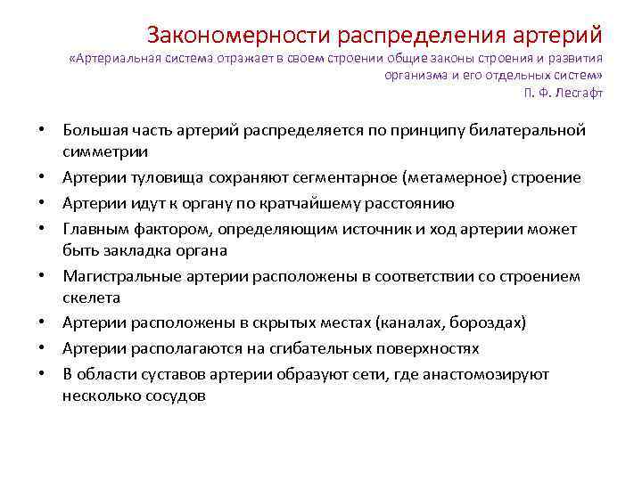 Закономерности распределения артерий «Артериальная система отражает в своем строении общие законы строения и развития