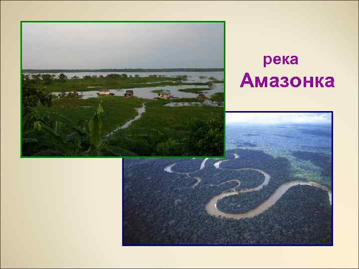 река Амазонка 