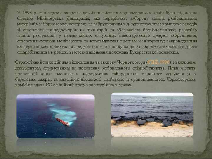 У 1993 р. міністрами охорони довкілля шістьох чорноморських країн була підписана Одеська Міністерська Декларація,