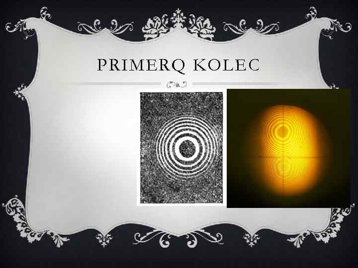 PRIMERQ KOLEC 