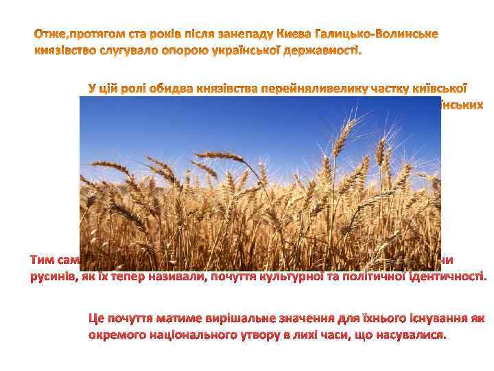 Тим самим у переламний момент історії вони зберегли в українців, чи русинів, як їх
