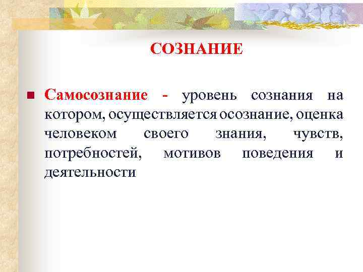 СОЗНАНИЕ n Самосознание - уровень сознания на котором, осуществляется осознание, оценка человеком своего знания,