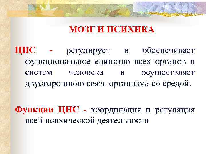 МОЗГ И ПСИХИКА ЦНС регулирует и обеспечивает функциональное единство всех органов и систем человека