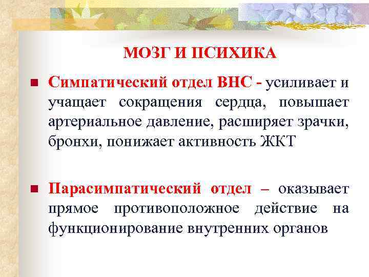 МОЗГ И ПСИХИКА n Симпатический отдел ВНС - усиливает и учащает сокращения сердца, повышает
