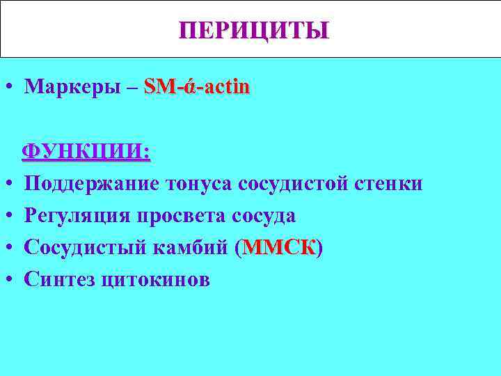 ПЕРИЦИТЫ • Маркеры – SM-ά-actin • • ФУНКЦИИ: Поддержание тонуса сосудистой стенки Регуляция просвета