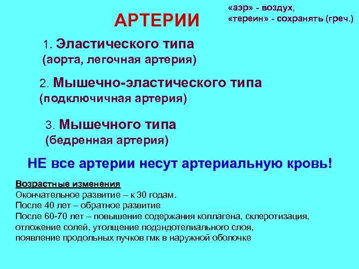 АРТЕРИИ «аэр» - воздух, «тереин» - сохранять (греч. ) 1. Эластического типа (аорта, легочная
