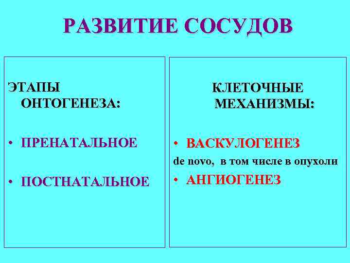 РАЗВИТИЕ СОСУДОВ ЭТАПЫ ОНТОГЕНЕЗА: • ПРЕНАТАЛЬНОЕ КЛЕТОЧНЫЕ МЕХАНИЗМЫ: • ВАСКУЛОГЕНЕЗ de novo, в том