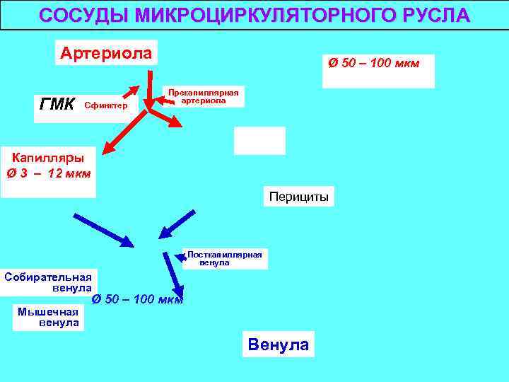 Картина фирса журавлева сканворд 8 букв