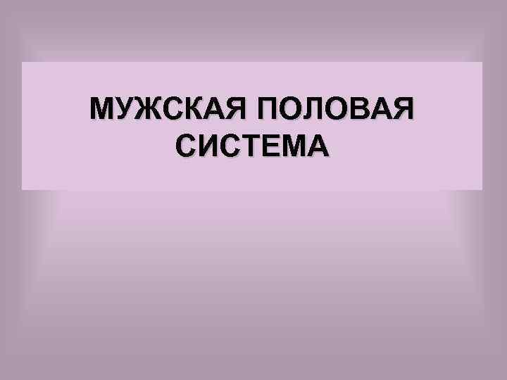 МУЖСКАЯ ПОЛОВАЯ СИСТЕМА 